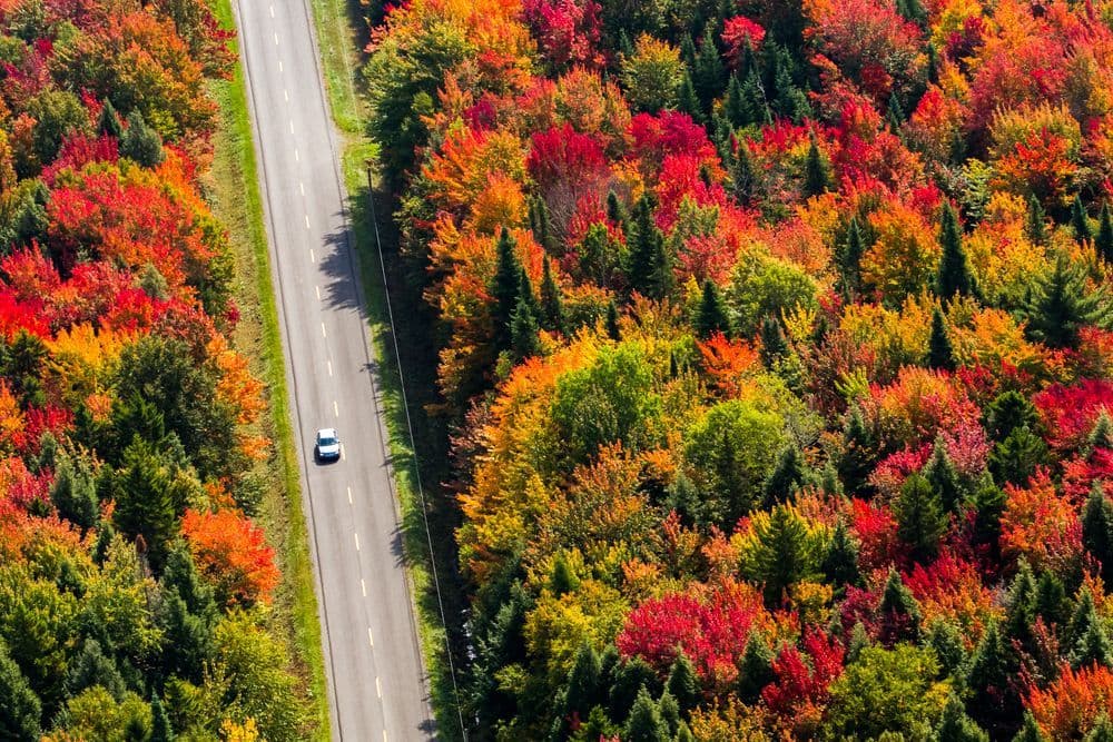 Road Trip To Canada